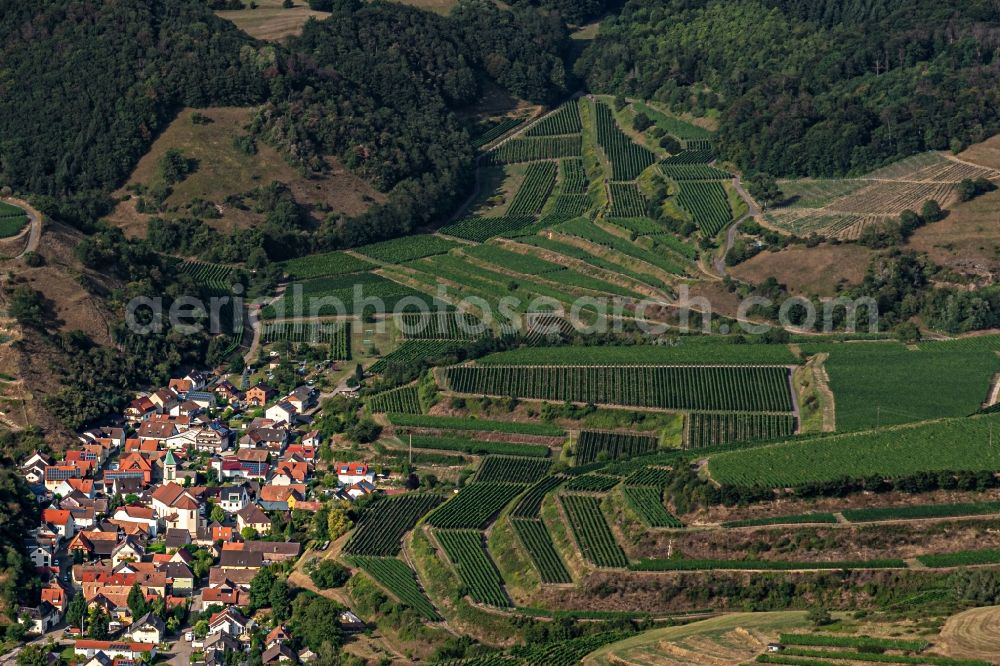 Aerial image Schelingen - Agricultural land and field borders surround the settlement area of the village in Schelingen in the state Baden-Wurttemberg, Germany