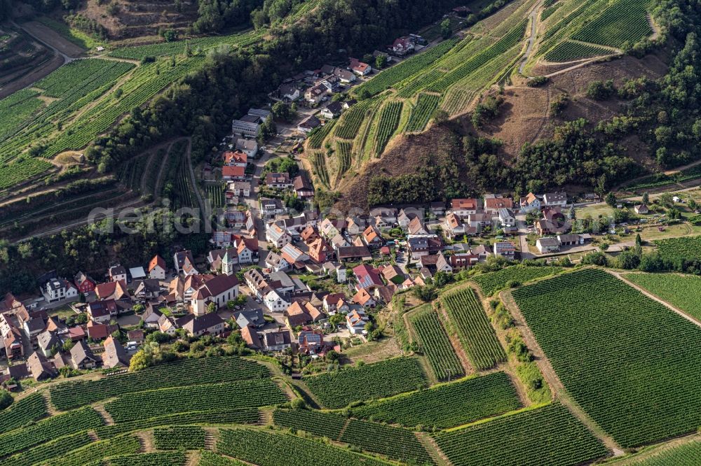 Aerial photograph Schelingen - Agricultural land and field borders surround the settlement area of the village in Schelingen in the state Baden-Wurttemberg, Germany