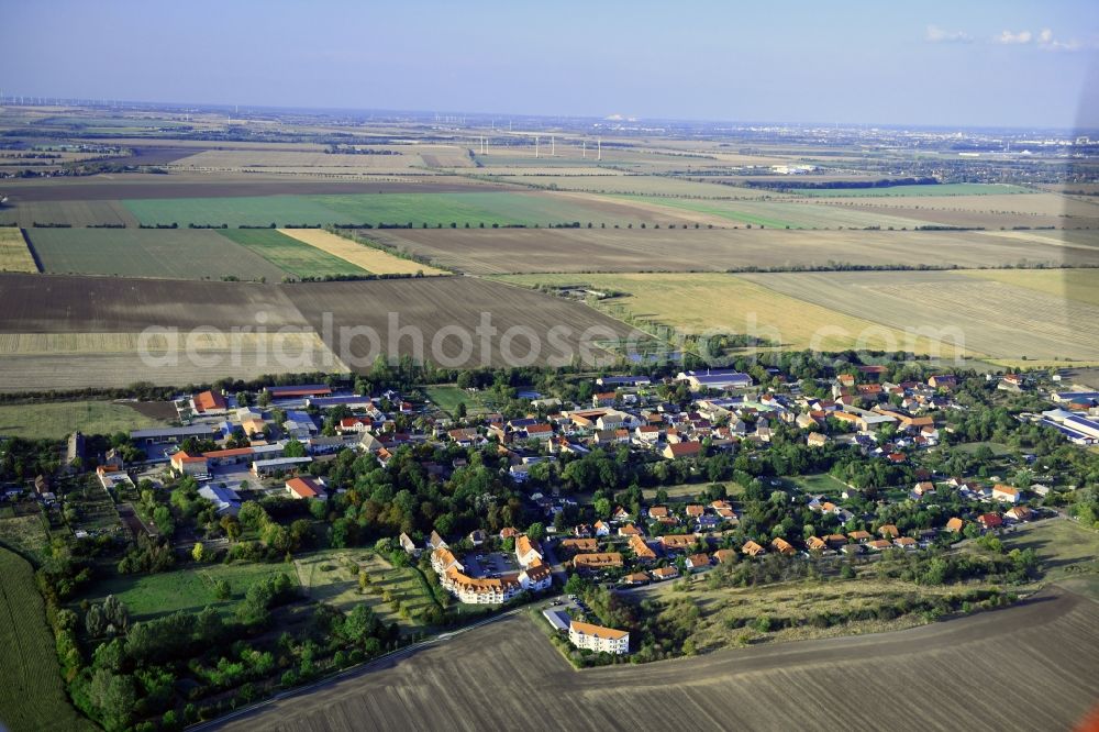 Aerial photograph Schwaneberg - Agricultural land and field borders surround the settlement area of the village in Schwaneberg in the state Saxony-Anhalt, Germany