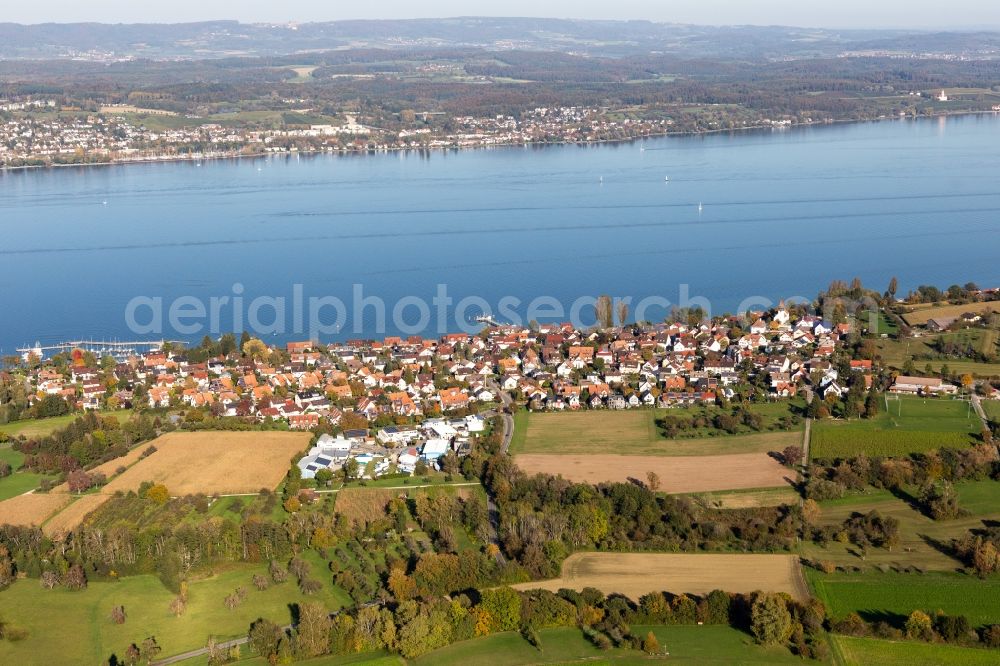Dingelsdorf from the bird's eye view: Village on the lake bank areas of Lake of Constance in Dingelsdorf in the state Baden-Wurttemberg, Germany
