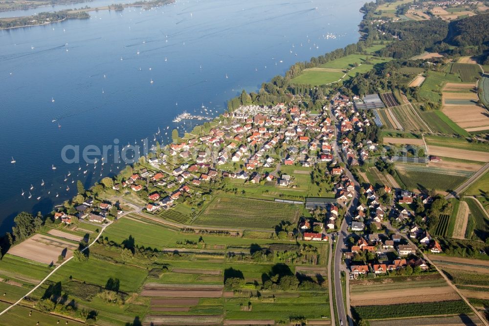 Aerial photograph Moos - Village on the lake bank areas of Lake of Constance in the district Iznang in Moos in the state Baden-Wuerttemberg, Germany