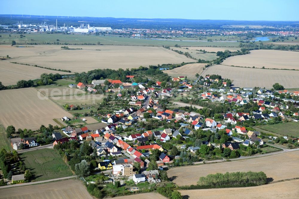 Aerial image Seegrehna - Agricultural land and field borders surround the settlement area of the village in Seegrehna in the state Saxony-Anhalt, Germany