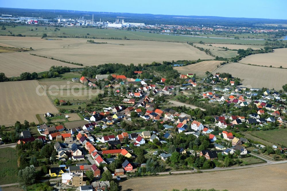 Aerial photograph Seegrehna - Agricultural land and field borders surround the settlement area of the village in Seegrehna in the state Saxony-Anhalt, Germany