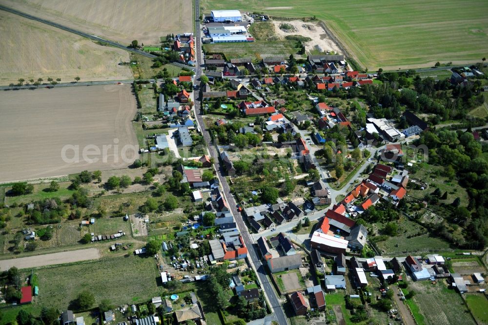 Aerial photograph Tornau vor der Heide - Agricultural land and field borders surround the settlement area of the village in Tornau vor der Heide in the state Saxony-Anhalt, Germany