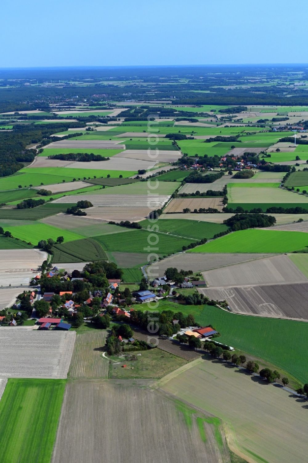 Wessenstedt from the bird's eye view: Agricultural land and field borders surround the settlement area of the village in Wessenstedt in the state Lower Saxony, Germany