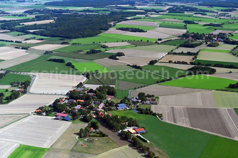 Aerial image Wessenstedt - Agricultural land and field borders surround the settlement area of the village in Wessenstedt in the state Lower Saxony, Germany