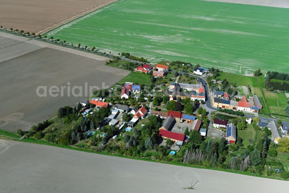 Aerial image Zallmsdorf - Agricultural land and field borders surround the settlement area of the village in Zallmsdorf in the state Saxony-Anhalt, Germany