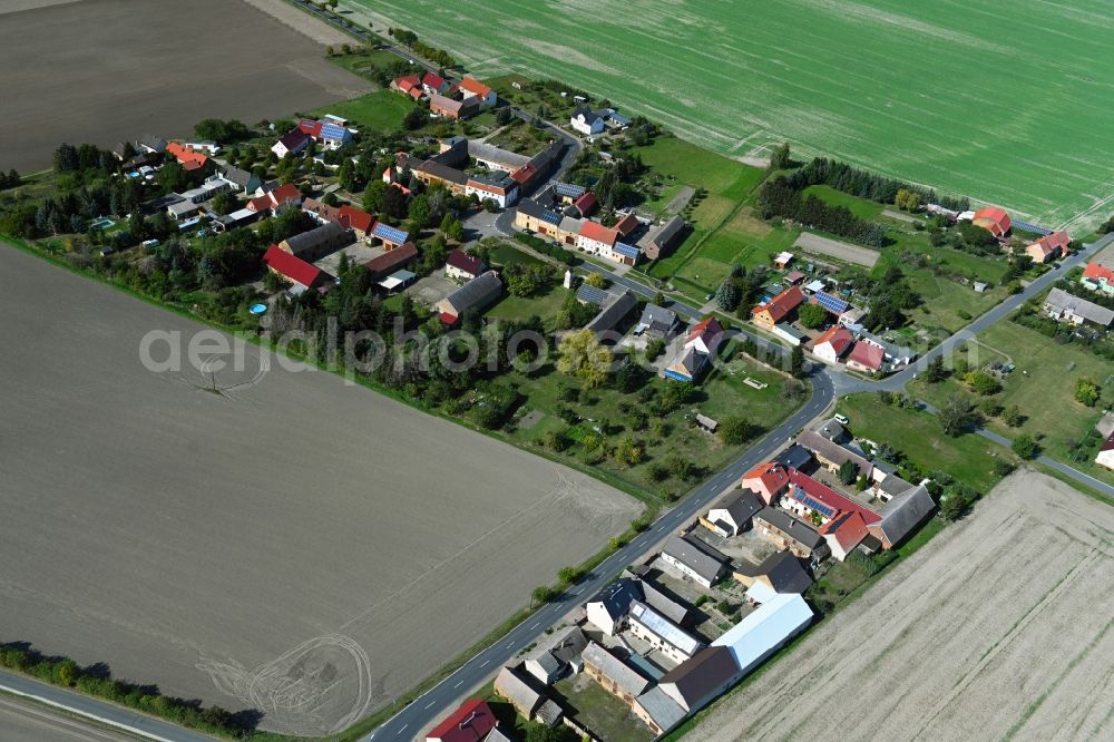 Aerial photograph Zallmsdorf - Agricultural land and field borders surround the settlement area of the village in Zallmsdorf in the state Saxony-Anhalt, Germany