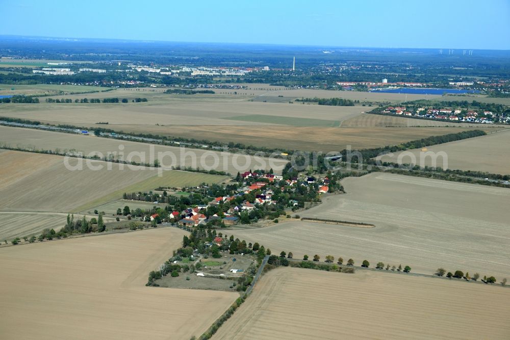 Zschepkau from the bird's eye view: Agricultural land and field borders surround the settlement area of the village in Zschepkau in the state Saxony-Anhalt, Germany
