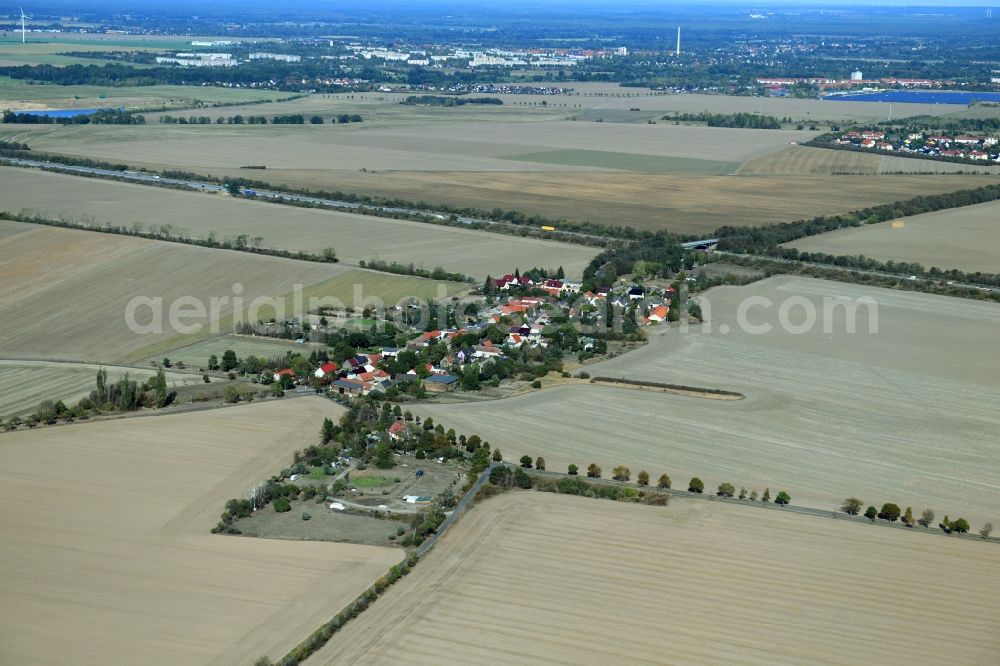 Aerial image Zschepkau - Agricultural land and field borders surround the settlement area of the village in Zschepkau in the state Saxony-Anhalt, Germany