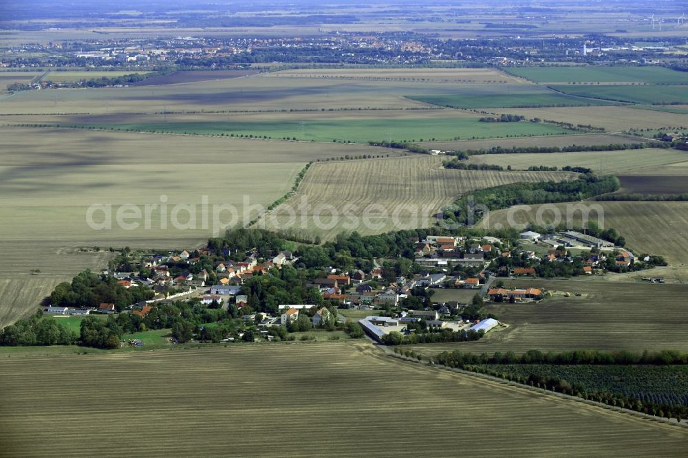 Zschernitz from the bird's eye view: Agricultural land and field borders surround the settlement area of the village in Zschernitz in the state Saxony, Germany