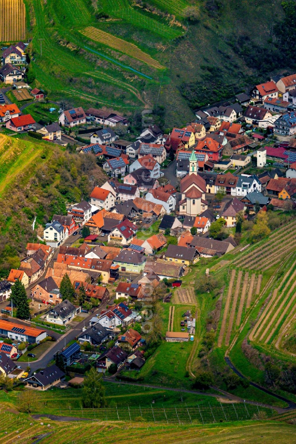 Vogtsburg im Kaiserstuhl from above - Village on the edge of vineyards and wineries in the wine-growing area in Vogtsburg im Kaiserstuhl in the state Baden-Wuerttemberg, Germany