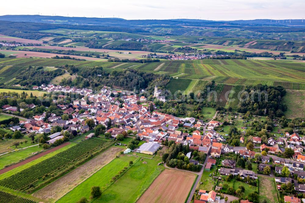 Aerial photograph Mandel - Village on the edge of vineyards and wineries in the wine-growing area in Mandel in the state Rhineland-Palatinate, Germany