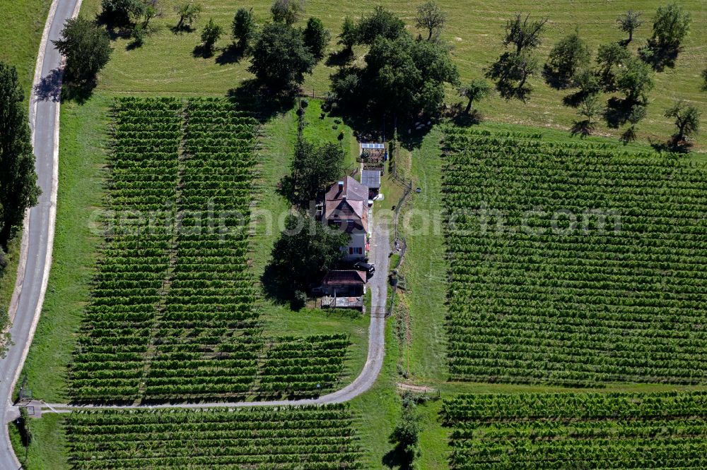 Aerial photograph Merzhausen - Village on the edge of vineyards and wineries in the wine-growing area on street Schlossweg in Merzhausen in the state Baden-Wuerttemberg, Germany