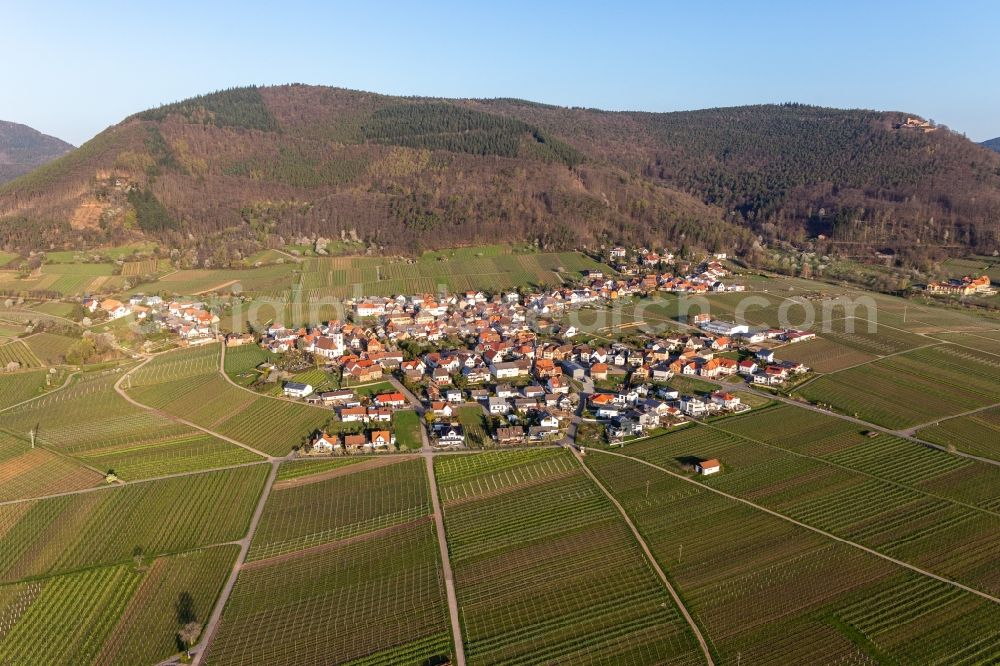 Aerial photograph Weyher in der Pfalz - Village on the edge of vineyards and wineries in the wine-growing area in Weyher in der Pfalz in the state Rhineland-Palatinate, Germany