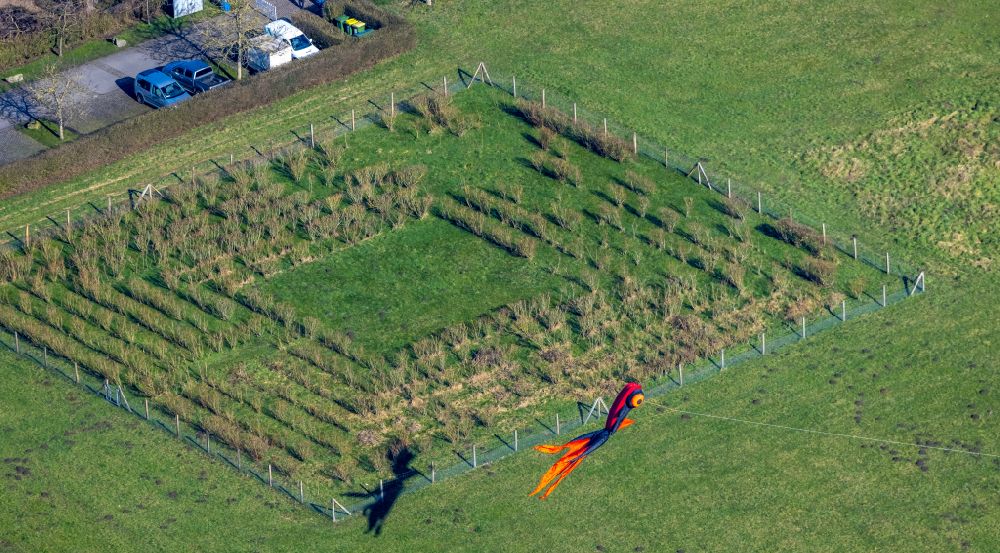 Aerial photograph Oberhausen - Kite flight over the hedge plant labyrinth of the Emscher Landscape Park Haus Ripshorst in Oberhausen in the Ruhr area in the state of North Rhine-Westphalia, Germany