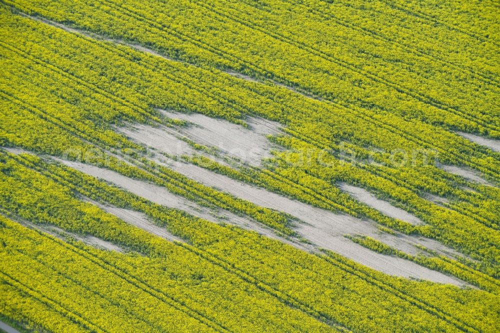 Aerial photograph Pretzier - Soil erosion and drought structures on agricultural rape fields in Pretzier, Saxony-Anhalt, Germany