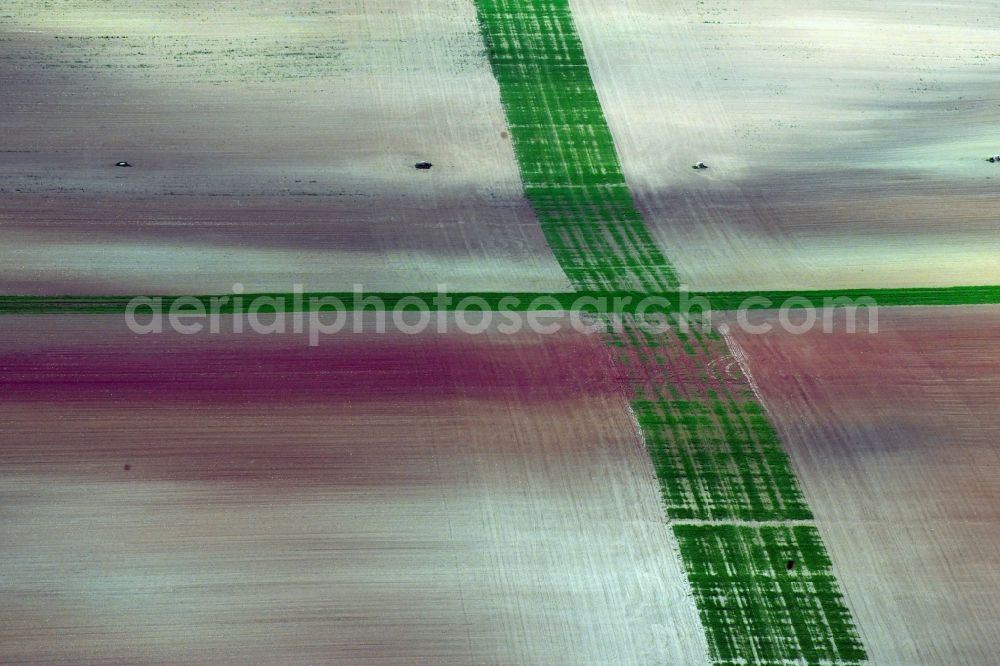 Aerial image Wasserthaleben - Agricultural fields embossed of soil erosion and water structures in Wasserthaleben in the state Thuringia, Germany