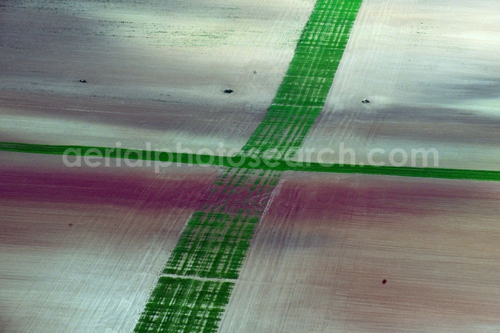 Aerial photograph Wasserthaleben - Agricultural fields embossed of soil erosion and water structures in Wasserthaleben in the state Thuringia, Germany