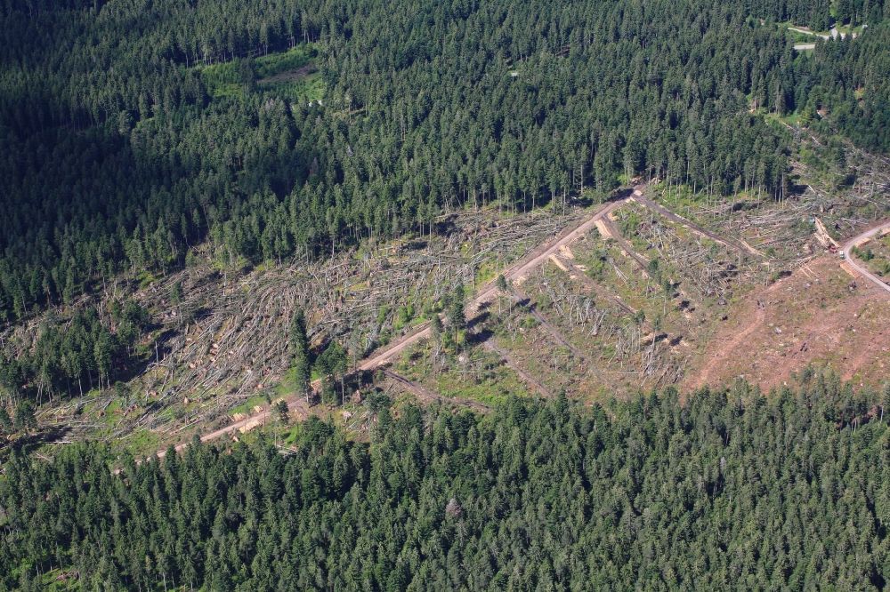 Bonndorf im Schwarzwald from the bird's eye view: A trail of destruction leaves a tornado in May 2015 in the forest area in bonndorf in Baden - Wuerttemberg. Thousands cubic meters of wood have to be worked