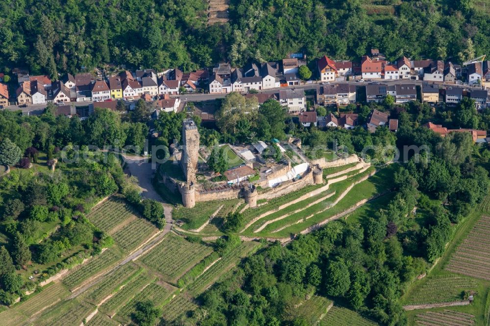 Wachenheim an der Weinstraße from above - Ruins of the former fortress Wachtenburg (Burg Wachenheim) in Wachenheim an der Weinstrasse in the state Rhineland-Palatinate, Germany