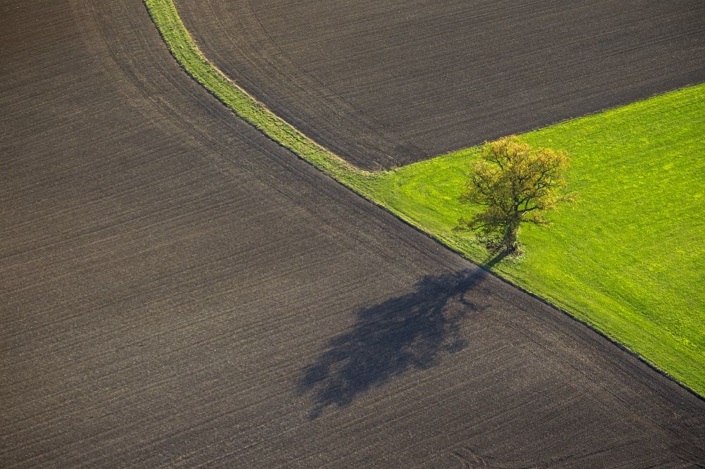 Rüthen from the bird's eye view: A single tree casts a long shadow upon a harvested field between Ruethen and Kallenhardt in the state North Rhine-Westphalia. The vibrant green meadow provides a powerful contrast in this autumn landscape