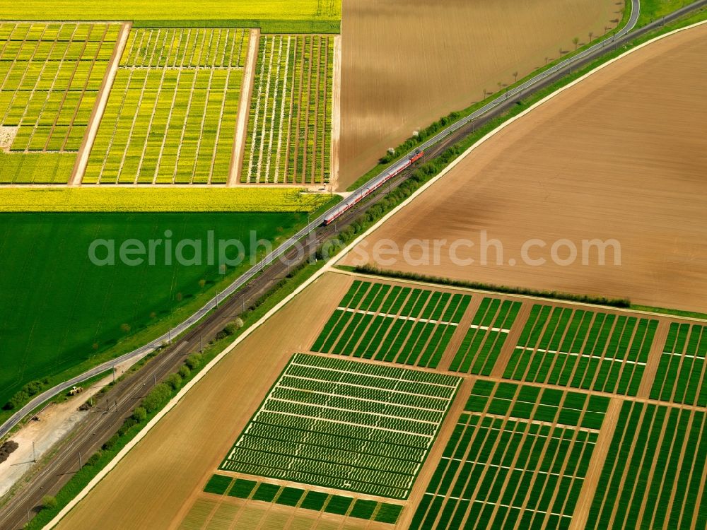 Aerial image Seligenstadt - Railway track and train in Seligenstadt in the state of Hesse. The railway track runs from the North to the South through the town. In its South it passes agricultural fields. The railroad is surrounded by symetrical and clearly structured fields