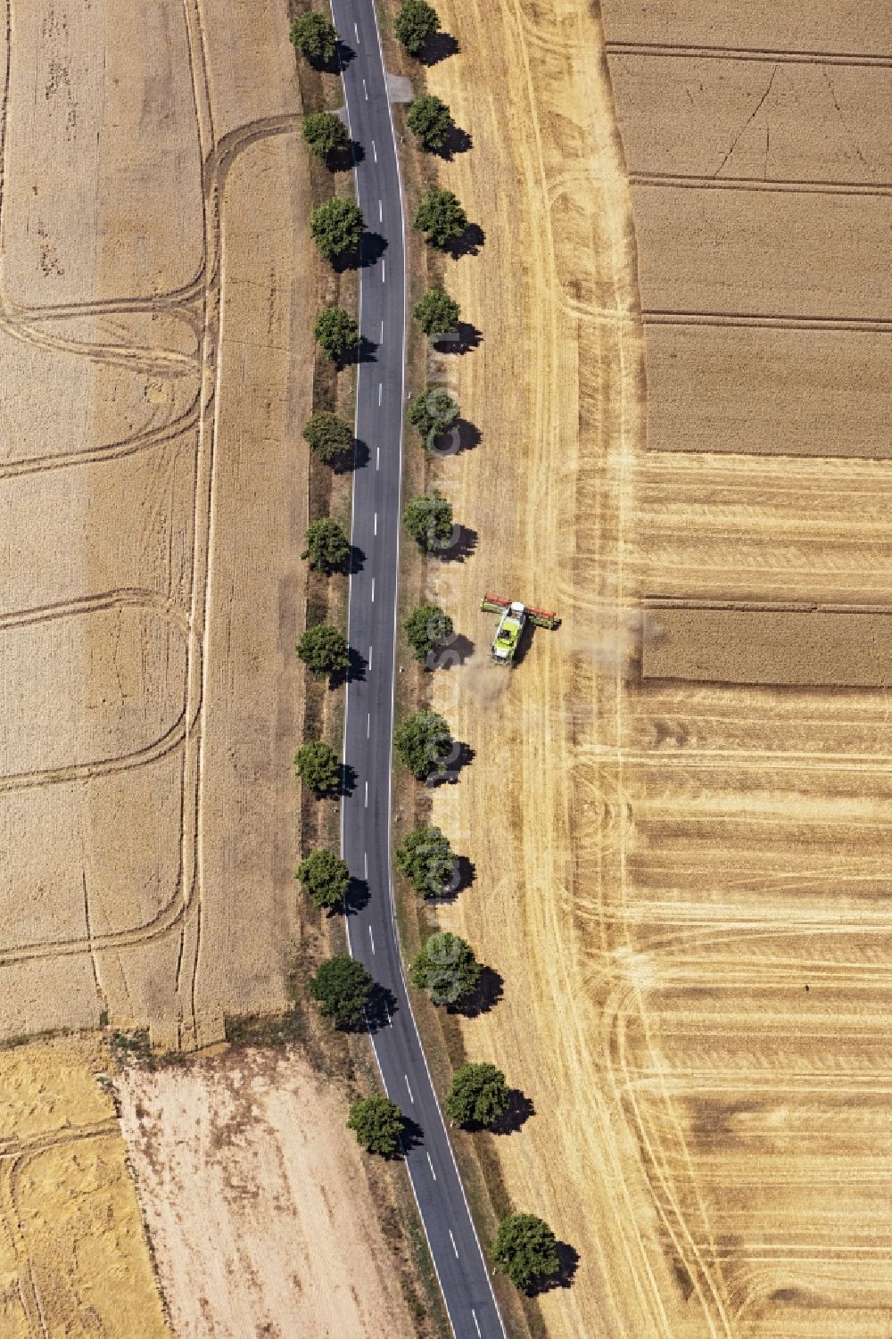 Bad Düben from the bird's eye view: Harvest use of heavy agricultural machinery - combine harvesters and harvesting vehicles on agricultural fields in Bad Dueben in the state Saxony, Germany