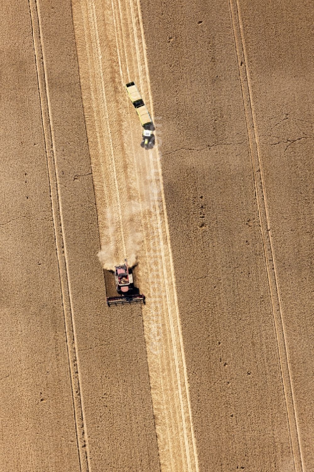 Aerial image Bad Düben - Harvest use of heavy agricultural machinery - combine harvesters and harvesting vehicles on agricultural fields in Bad Dueben in the state Saxony, Germany