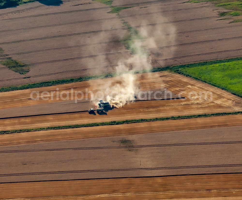 Aerial image Friedrichstadt - Harvest use of heavy agricultural machinery - combine harvesters and harvesting vehicles on agricultural fields in Friedrichstadt in the state Schleswig-Holstein, Germany