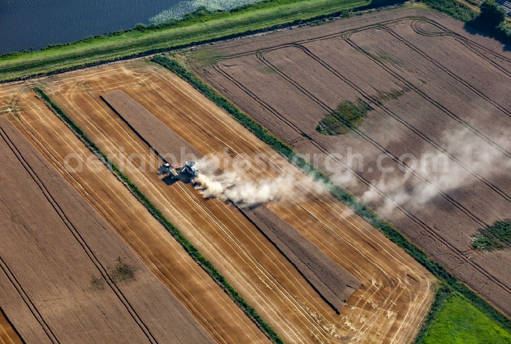 Friedrichstadt from above - Harvest use of heavy agricultural machinery - combine harvesters and harvesting vehicles on agricultural fields in Friedrichstadt in the state Schleswig-Holstein, Germany