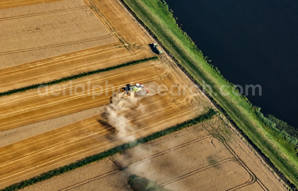 Friedrichstadt from the bird's eye view: Harvest use of heavy agricultural machinery - combine harvesters and harvesting vehicles on agricultural fields in Friedrichstadt in the state Schleswig-Holstein, Germany