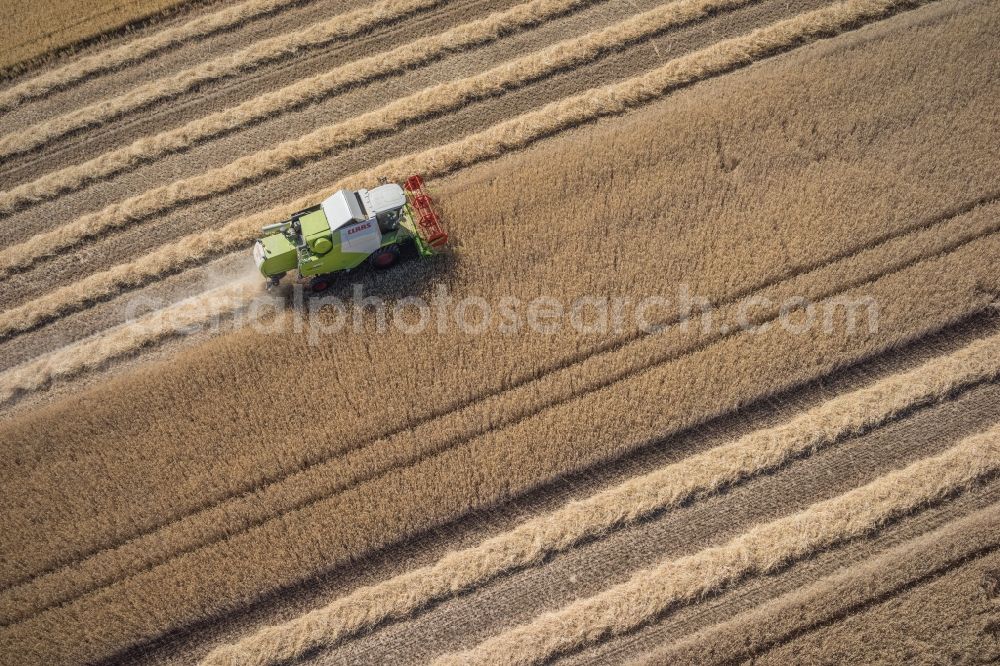 Aerial photograph Friolzheim - Harvest use of heavy agricultural machinery - combine harvesters and harvesting vehicles on agricultural fields in Friolzheim in the state Baden-Wuerttemberg