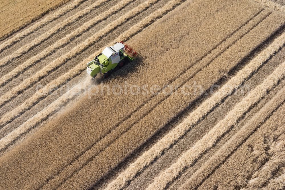 Friolzheim from above - Harvest use of heavy agricultural machinery - combine harvesters and harvesting vehicles on agricultural fields in Friolzheim in the state Baden-Wuerttemberg