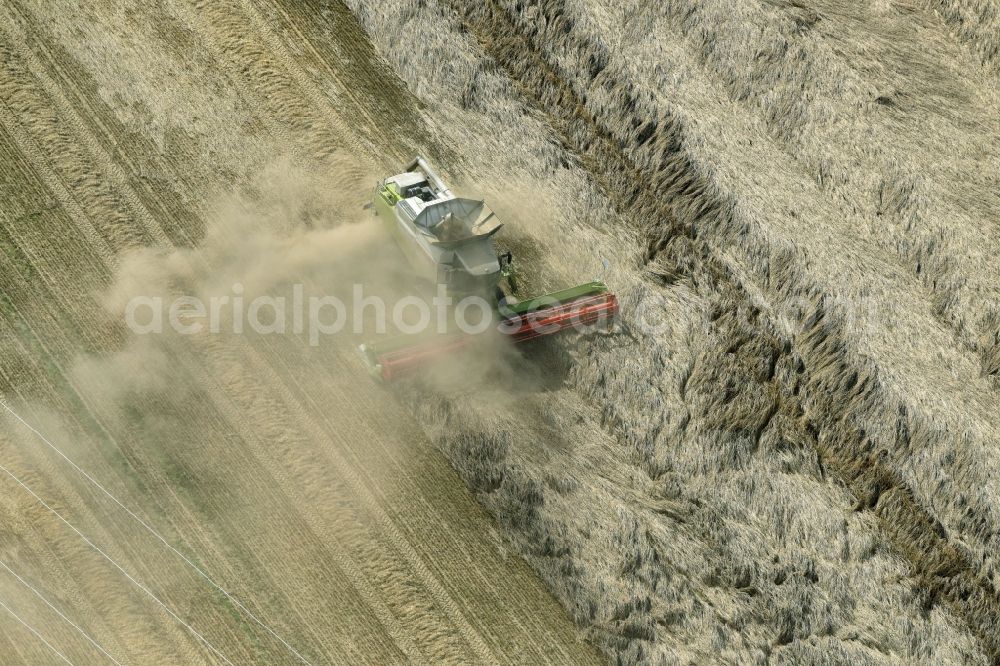 Genthin from above - Harvest use of heavy agricultural machinery - combine harvesters and harvesting vehicles on agricultural fields in Genthin in the state Saxony-Anhalt, Germany
