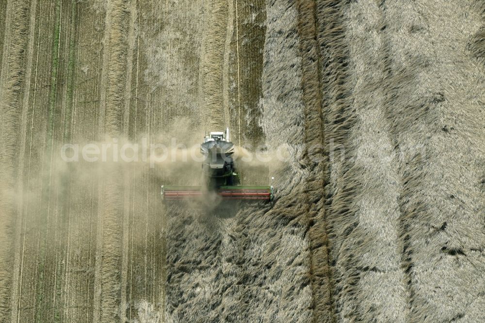 Aerial image Genthin - Harvest use of heavy agricultural machinery - combine harvesters and harvesting vehicles on agricultural fields in Genthin in the state Saxony-Anhalt, Germany