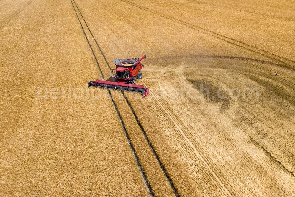 Aerial image Göhrenz - Harvest use of heavy agricultural machinery - combine harvesters and harvesting vehicles on agricultural fields in Goehrenz in the state Saxony, Germany