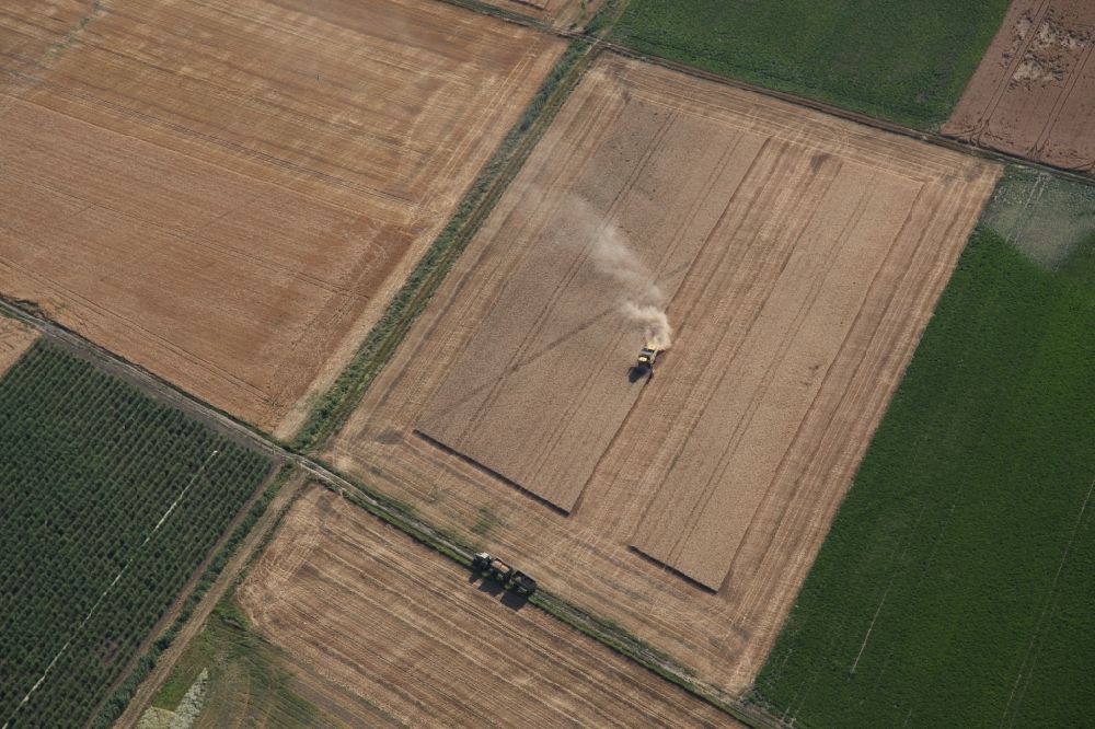 Aerial image Guntersblum - Harvest use of heavy agricultural machinery - combine harvesters and harvesting vehicles on agricultural fields in Guntersblum in the state Rhineland-Palatinate, Germany