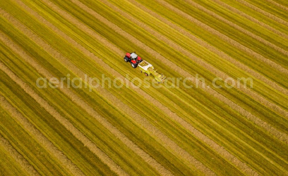 Henrichenburg from the bird's eye view: Harvest use of heavy agricultural machinery - combine harvesters and harvesting vehicles on agricultural fields in Henrichenburg in the state North Rhine-Westphalia, Germany