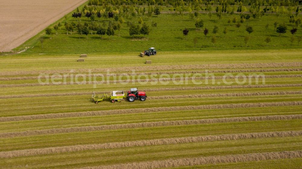 Aerial image Henrichenburg - Harvest use of heavy agricultural machinery - combine harvesters and harvesting vehicles on agricultural fields in Henrichenburg in the state North Rhine-Westphalia, Germany
