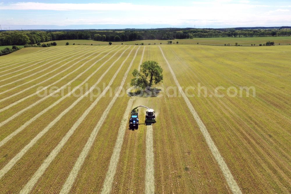 Aerial photograph Jahnsfelde - Harvest use of heavy agricultural machinery - combine harvesters and harvesting vehicles on agricultural fields in Jahnsfelde in the state Brandenburg, Germany. A forage harvesting machine transports the chopped forage grass into a chopper transport wagon
