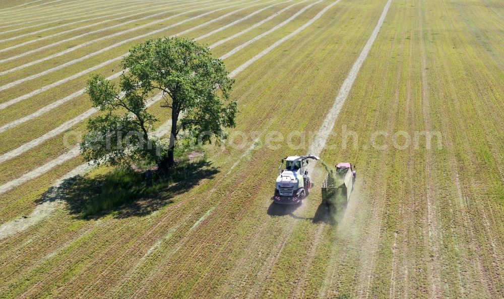 Jahnsfelde from above - Harvest use of heavy agricultural machinery - combine harvesters and harvesting vehicles on agricultural fields in Jahnsfelde in the state Brandenburg, Germany. A forage harvesting machine transports the chopped forage grass into a chopper transport wagon