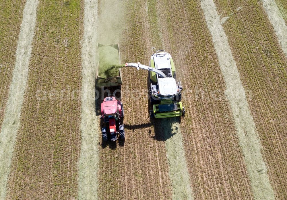 Aerial image Jahnsfelde - Harvest use of heavy agricultural machinery - combine harvesters and harvesting vehicles on agricultural fields in Jahnsfelde in the state Brandenburg, Germany. A forage harvesting machine transports the chopped forage grass into a chopper transport wagon
