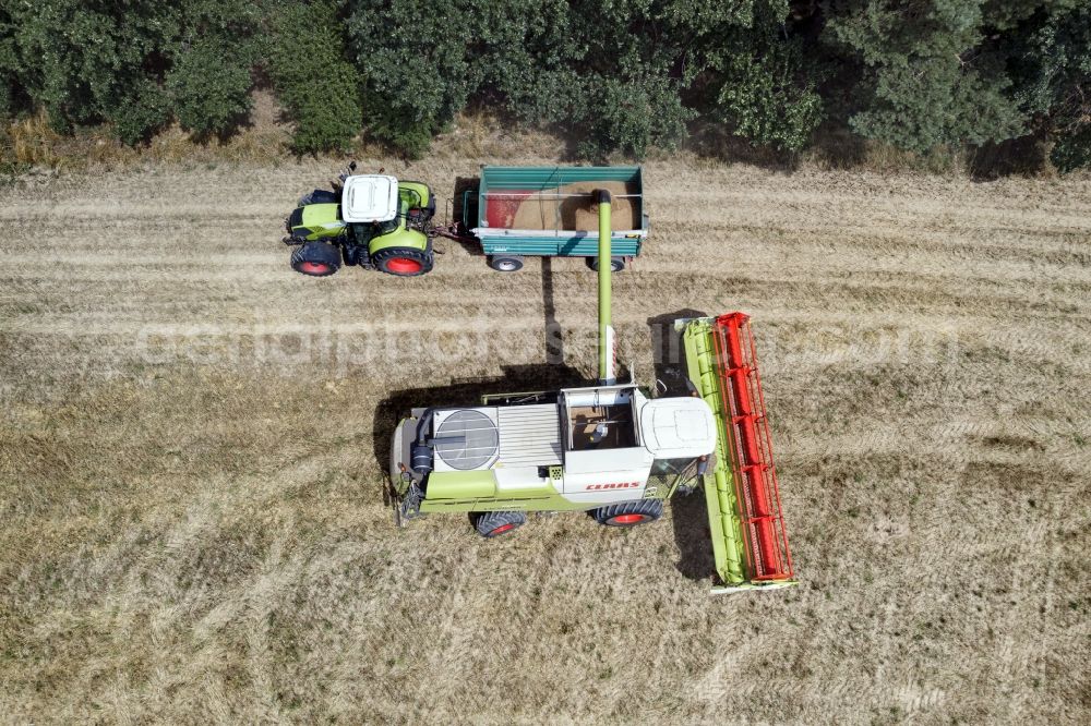 Jahnsfelde from above - Harvest use of heavy agricultural machinery - combine harvesters and harvesting vehicles on agricultural fields in Jahnsfelde in the state Brandenburg, Germany
