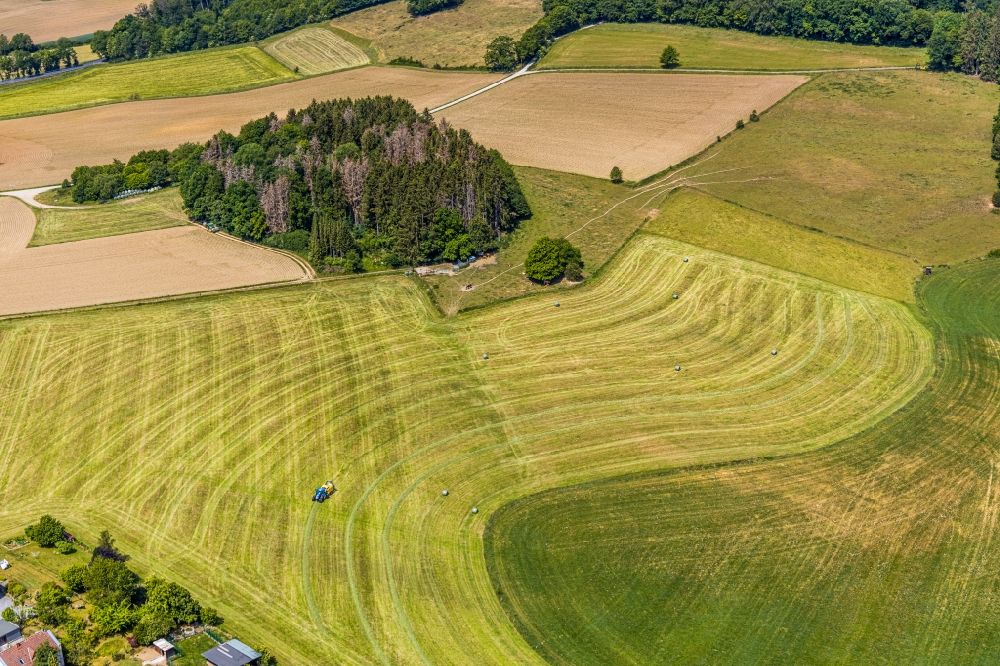 Aerial image Langenholthausen - Harvest use of heavy agricultural machinery - combine harvesters and harvesting vehicles on agricultural fields in Langenholthausen in the state North Rhine-Westphalia, Germany