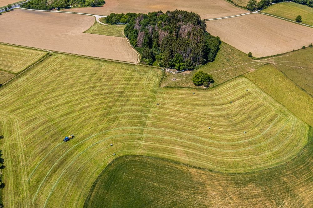 Aerial photograph Langenholthausen - Harvest use of heavy agricultural machinery - combine harvesters and harvesting vehicles on agricultural fields in Langenholthausen in the state North Rhine-Westphalia, Germany