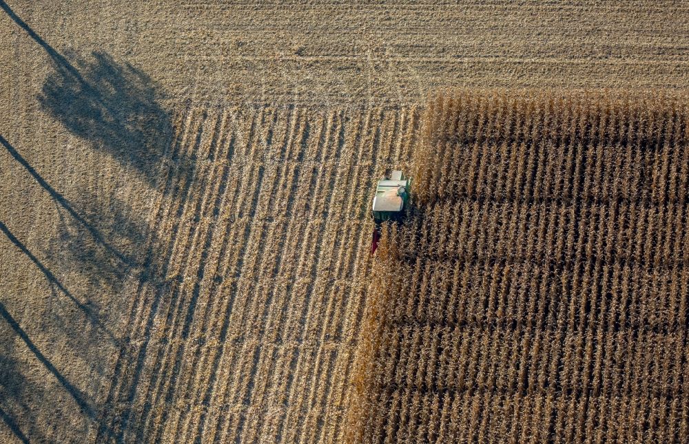 Aerial image Lerche - Harvest use of heavy agricultural machinery - combine harvesters and harvesting vehicles on agricultural fields in Lerche in the state North Rhine-Westphalia