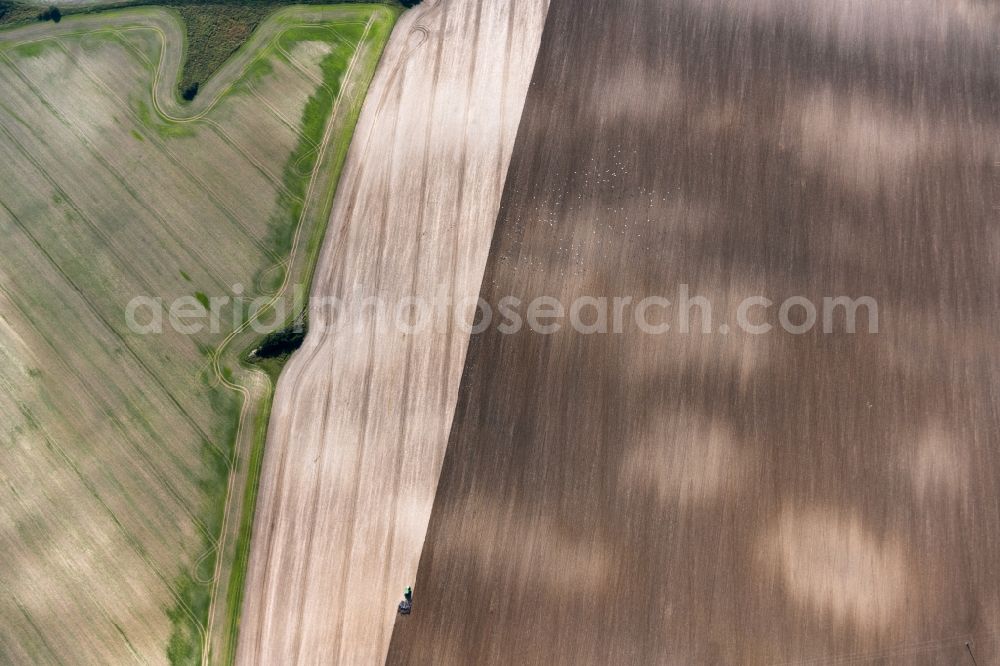 Lohme from the bird's eye view: Harvest use of heavy agricultural machinery - combine harvesters and harvesting vehicles on agricultural fields on Ruegen in Lohme in the state Mecklenburg - Western Pomerania, Germany