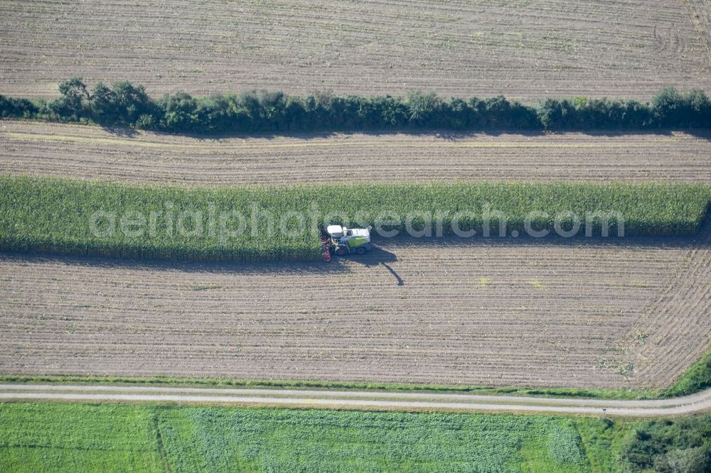 Aerial image Luhe-Wildenau - Harvest use of heavy agricultural machinery - corn harvester on agricultural fields in Luhe-Wildenau in the state Bavaria, Germany