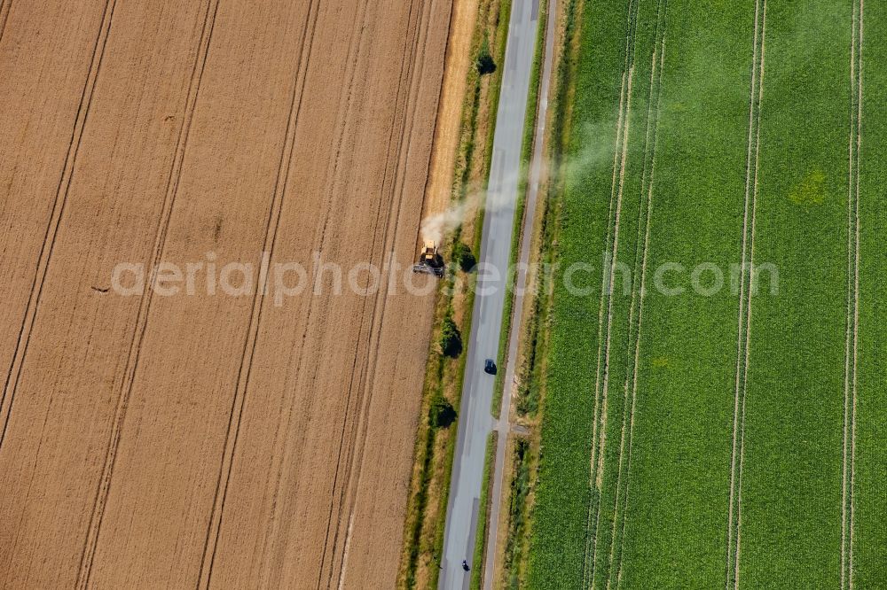 Aerial photograph Nordstrand - Harvest use of heavy agricultural machinery - combine harvesters and harvesting vehicles on agricultural fields on street Pohnshalligkoogstrasse in Nordstrand North Friesland in the state Schleswig-Holstein, Germany